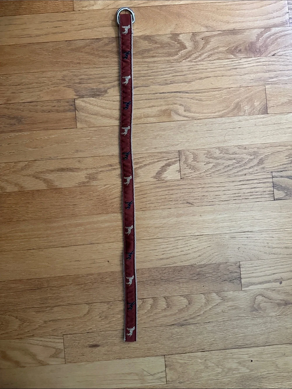 Kids Red Fabric D-Ring Belt with Dog Motif